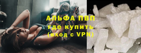 гашик Михайловск