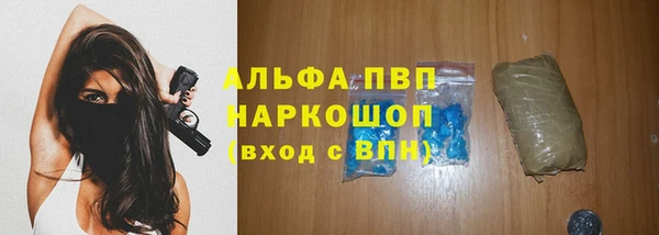 гашик Михайловск