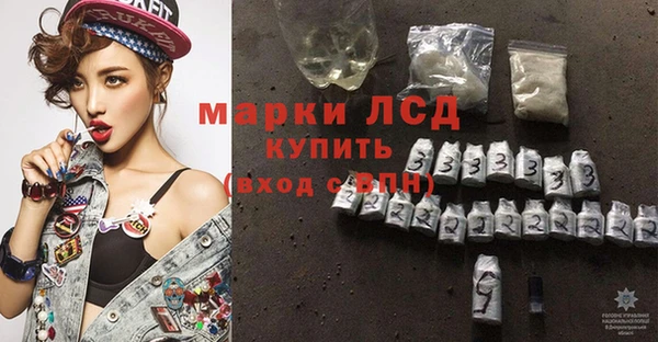 гашик Михайловск