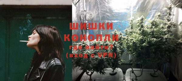 гидра Наволоки
