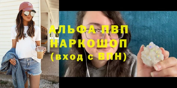 гашик Михайловск