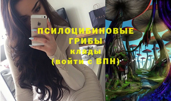 стафф Михайловка