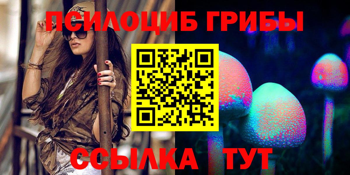 Псилоцибиновые грибы мицелий Кудымкар