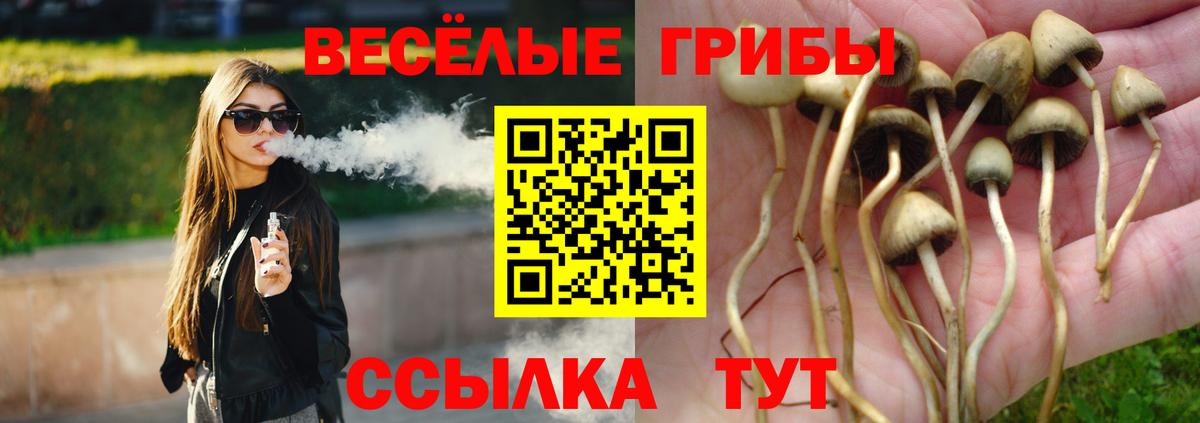 Кудымкар  Псилоцибиновые грибы GOLDEN TEACHER  Вход с VPN 